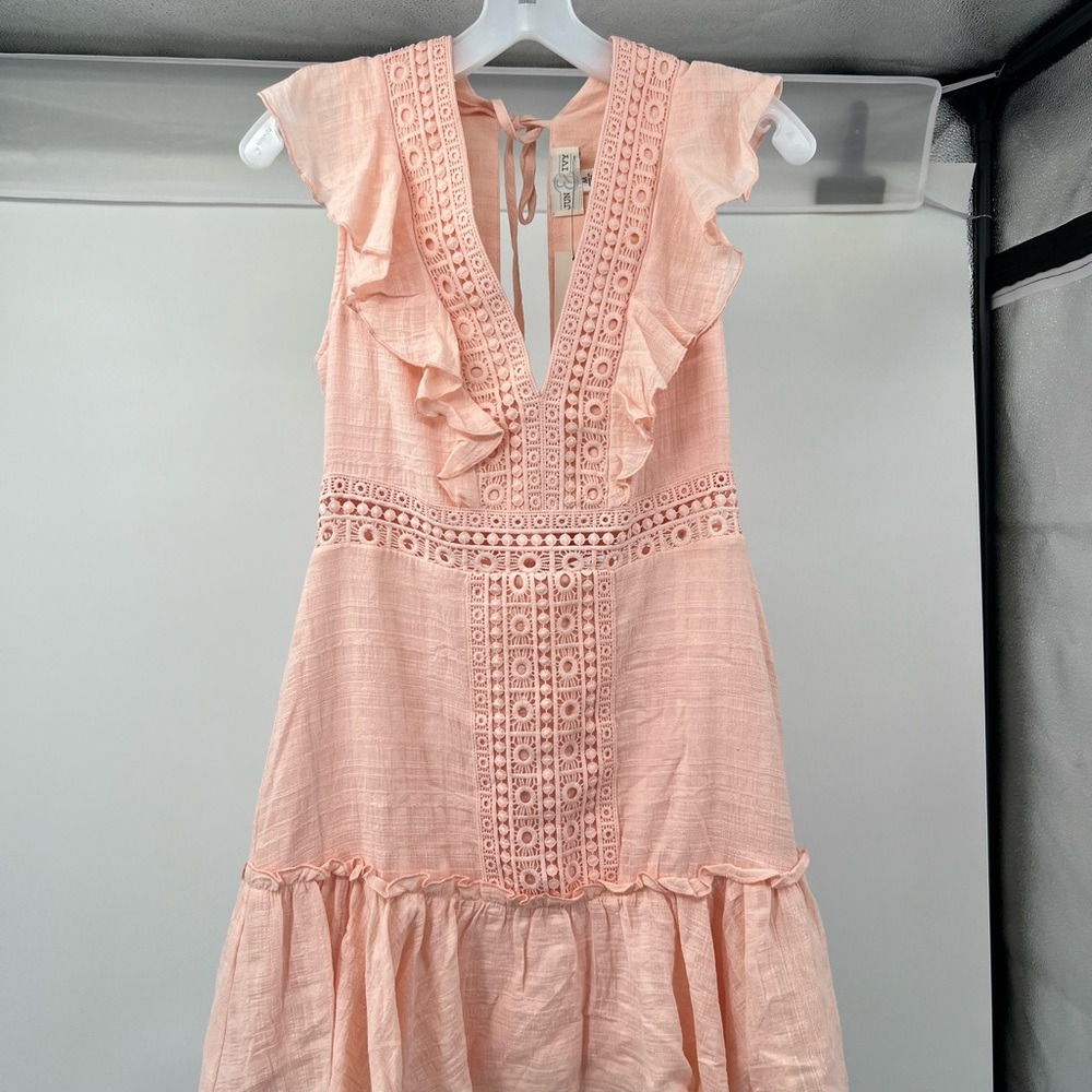Elegant Blush Lace Mini Dress